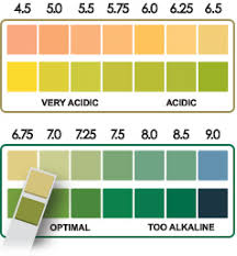 diagnostic ph test strips 90 count