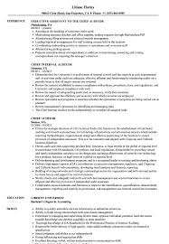 chief auditor resume samples velvet jobs