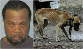 Edwin Murrell Starves His Dog And Keeps It Chained To A Tree!