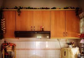 is greenery above kitchen cabinets