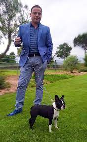 L'allevamento della morgana si occupa della selezione, allevamento ed esposizione di boston terrier, offriamo cucciolate di prestigio. Pin Su Boston Terrier