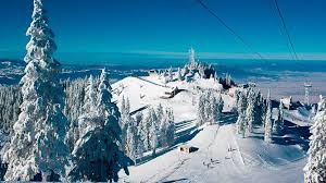 Statiune poiana brasov este celebra datorita partiilor sale de sky, aici se pot practica cele mai variate sporturi de iarna, existand si partii partiile din poiana brasov sunt deservite de urmatoarele instalatii de transport pe cablu. Minivacanta 1 Decembrie 2021 Poiana Brasov Romania