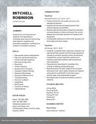 One of these things is a resume which will convince employers that you are a perfect fit. Pipefitter Resume Samples Templates Pdf Word 2021 Pipe Fitter Resumes Bot