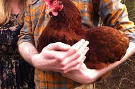 Farmers only dating site commercial join the leader in my area! Why 1 5 Million People Are On A Dating Site Called Farmers Only Vox