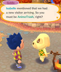 New horizons was what everyone needed last year. Animal Crossing Memes Clean