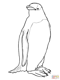 Gentoo Penguin Coloring Online Penguin Coloring Pages Penguin Coloring Skull Coloring Pages