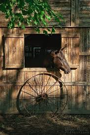 Furthermore, a few companies still build them. Horses Horse Barns Farm Life