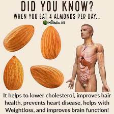 Eat 4 Almonds A Day Health Weightwatchers Health Fitness Health Benefits Health Tips