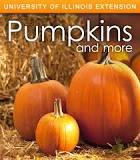 What state grows 95% of all the pumpkins?