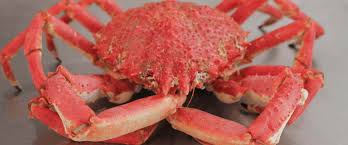 My favorites are celery, red and green bell peppers, and scallions (green onions). How To Cook And Prepare A Spider Crab Tom S Feast