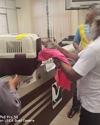 Waktu doa hari ini di shah alam akan bermula pada 05:30 (matahari terbit) dan selesai di 20:35 (isyak). Jabatan Perhilitan Selangor Shah Alam Selangor Malaysia Government Organization Facebook