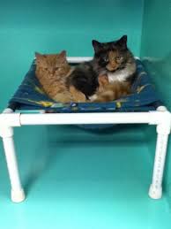 Cat hammock diy | in a feline world filled with cat trees and cat beds your cat will appreciate a comfy space to feel safe and still part of the activities! Large Cat Hammocks Home Or Shelter Use 23 Steps Instructables