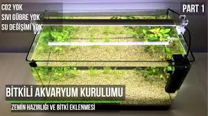 Planted Aquarium Walstad Setup Soil And Plants Youtube