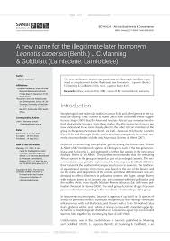 Image result for Leonotis myrothamnifolia