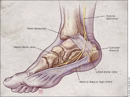 Pin On Health And Exercise