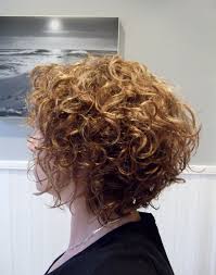 Short Curly Bob Hair Styles Curly Hair Styles Beige Hair