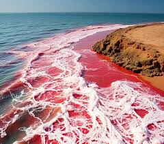 Iran's Hormuz Island Stuns the World as Blood-Red Waves Transform Its  Shores into a Mesmerizing Natural Spectacle - Travel And Tour World