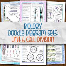 Doodle notes for cells (plant and animal)these doodle notes teach students about plant and animal cell organelles. Biology Unit 6 Doodle Diagram Notes Cell Division