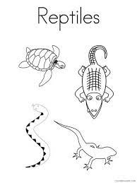 Can't find what you are looking for? Reptile Coloring Pages Animal Printable Sheets Reptile 2 2021 4300 Coloring4free Coloring4free Com