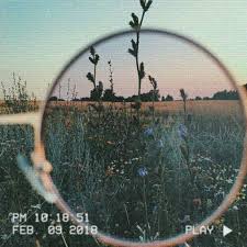 Save on trending posters, framed art, canvas art & more. RiityeyayeÑ•t ã…ã…‚ã…… D ã…‚ Ya Grungephotography Nature Photography Aesthetic Pictures Photo
