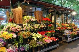 Flower Shop Online Flower Shop Flower Shop Flower Shop Interiors