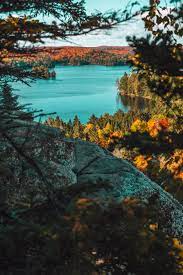 Beautiful Fall Colors Algonquin Park Canada Oc 3744 X 5616 Reddit Mountain Landscape Photography Fall Landscape Photography Landscape Photography