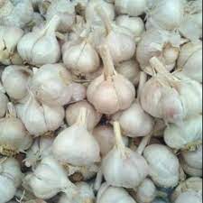 Harga bawang putih tergolong naik sebesar rp628 dari harga sebelumnya yang mencapai rp54.234 per kilogram. Bawang Putih Kating 1 4 Kg Beli Sekilo Lebih Hemat Shopee Indonesia