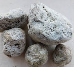 We did not find results for: Vomit Paus Alami Asli Ambergris Buy Dengan Harga Murah Paus Muntah Kualitas Dengan Harga Murah Paus Muntah Sintetis Ambergris Product On Alibaba Com