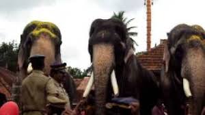 For your search query mangalamkunnu karnan announcement mp3 we have found 1000000 songs now we recommend you to download first result mangalamkunnu karnnan sailesh vaikom. Mangalamkunnu Karnan Vs Mangalamkunnu Ayyappan Vs Cheriya Chandrasekaran Youtube