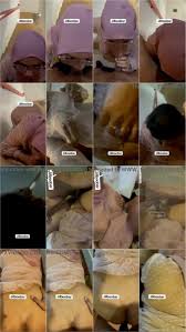 Video Bokep Jilbab Bunda Neneng Panas Sekali