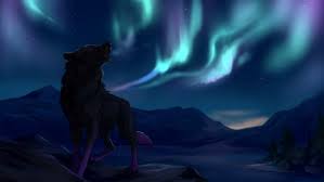 The republic of turkey faces the greatest threats of recent history. Howling Wolf Wallpaper Howling Wolf Wallpaper For Mac 1024x576 Wallpaper Teahub Io