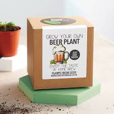 Birth Month Flower Grow Kit Uk 