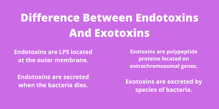 خلاصة القول، غاية الكلام : Difference Between Endotoxins And Exotoxins Definition