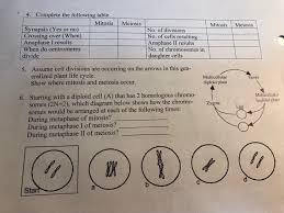 Mitosis and meiosis in plant cell. 4 Complete The Following Table Mitosis Meiosis Chegg Com