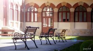 Colegiul national carol i, craiova. Colegiul NaÈ›ional Pedagogic Carol I Campulung Didactic Ro