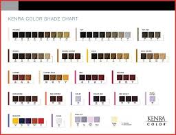 Ion Demi Color Chart 132146 Kenra Color Simply Stunning