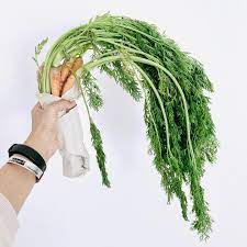 Temen Temen Tau Ga Kalau 60 70 Sampah Di Indonesia Adalah Sampah Organik Dan Kebanyakan Dari Sampah Organik Ini Berasal Dari Si Sampah Organik Oatmeal Chia