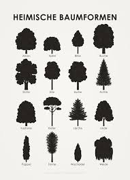 Poster Als Bestimmungsbogen Mit Den Blattern Heimischer Baume Wie Apfel Bergahorn Birke Birne Buche Heimische Baume Einheimische Baume Illustration Design