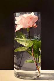 Epingle Par Lesley Ireland Sur Gardens Peinture Fleurs Fleurs Peintes Peinture De Nature Morte
