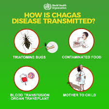 It is caused by the parasite trypanosoma cruzi, . Social Media How Is The Chagas Disease Transmitted Paho Who Pan American Health Organization