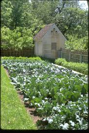 Gardens At Colonial Williamsburg Colonial Garden Colonial Williamsburg Garden Design