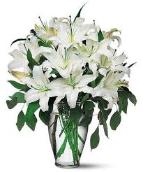 We did not find results for: White Lillies These Gorgeous White Lilies Are So Classically Elegant They Re Sure To Turn Any Occas Wedding Flowers Peonies White Lily Bouquet Flowers Bouquet