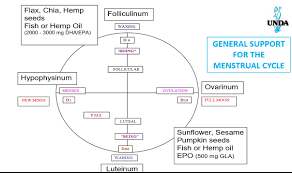 Seed Cycling To Regulate Hormones Cycle Irregularity Pcos