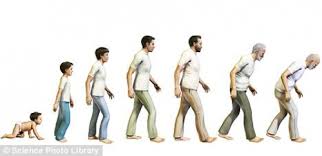 Month january february march april may june july august september october november. Could Humans Live To 500 Years Old Scientists Believe Genetic Tweaks Could Significantly Extend Our Lifespan Passnownow