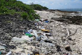 Catastrophic consequences for oceans when climate change and plastic  pollution crises combine