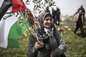 The strategic importance of the area is immense: Palestinian Socioeconomic Crisis Now At Breaking Point Unctad