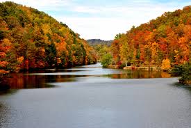 See 3,974 tripadvisor traveler reviews of 94 bristol restaurants and search by cuisine, price, location, and more. Troutdale Dining Room Bristol Tn 48 Amazing Collection Tdrbt Hausratversicherungkosten Info
