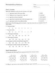 Start studying monohybrid cross worksheet. Monohybrid Dihybrid Worksheet