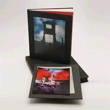 David levinthal mein kampf memory toys and the play of history 1996 hc 1st ed. David Levinthal Mein Kampf Mutualart