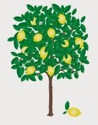  Gambar Pohon Mangga Kartun Lucu Mango Tree Cartoon Pictures Wallpaper Lemon Tree Tree Cartoon Cartoon Lemon